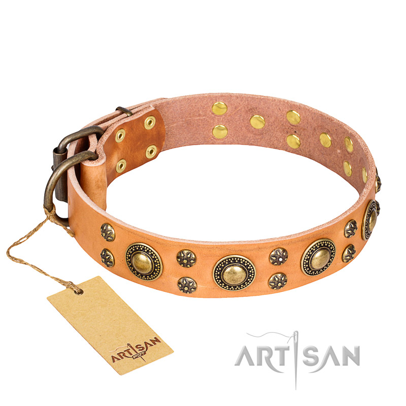 'Sophisticated Glamor' FDT Artisan Mastiff Leather Collar with Old-bronze Plated Decorations