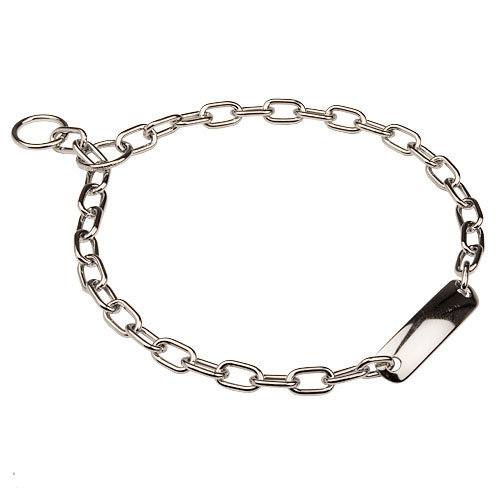 dog collar id plate