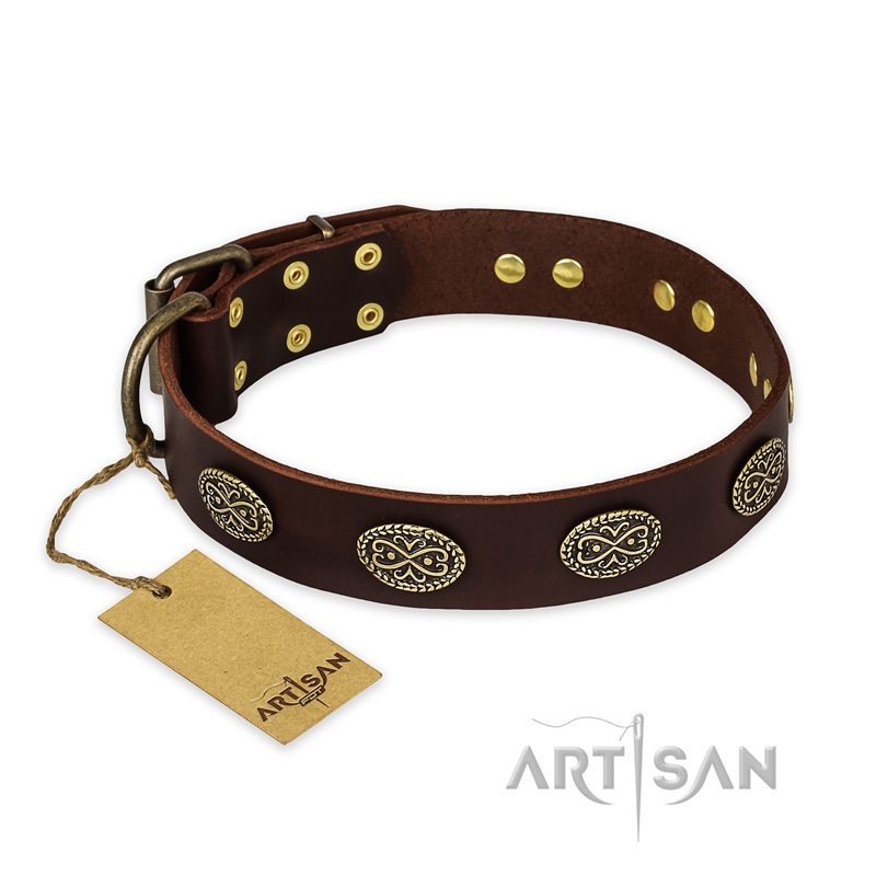 'Chocolate kiss' FDT Artisan Leather Mastiff Collar with Old Bronze Look Oval Plates