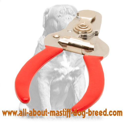 Get Dog Nail Trimmer | Mastiff Safe Nail Clipper