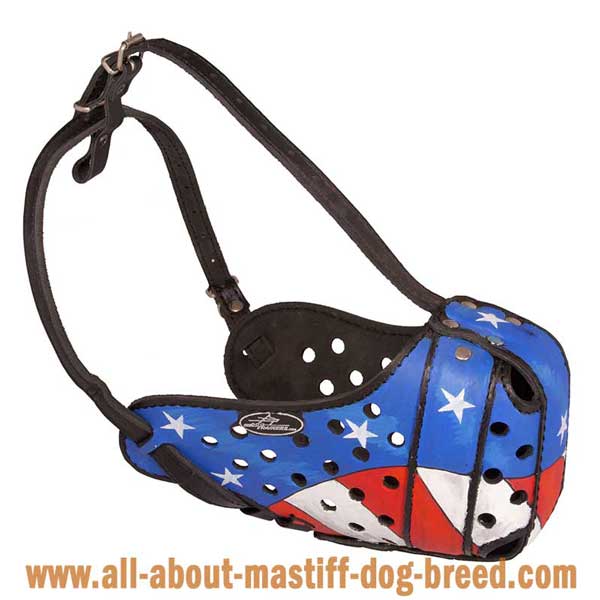 Handpainted & Adjustable Leather Muzzle for Argentinian Mastiff
