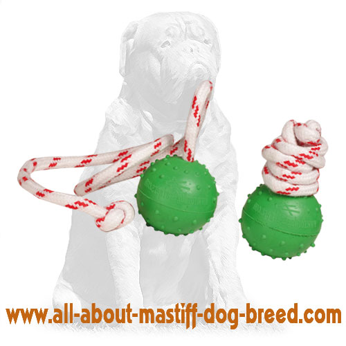 Mastiff Dotted Rubber Ball for Water Training and Playing of Small Size