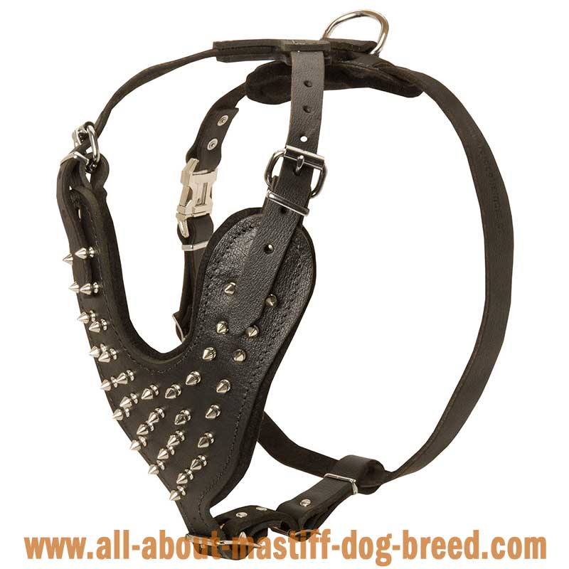 Deluxe Spiked Leather English Mastiff Harness
