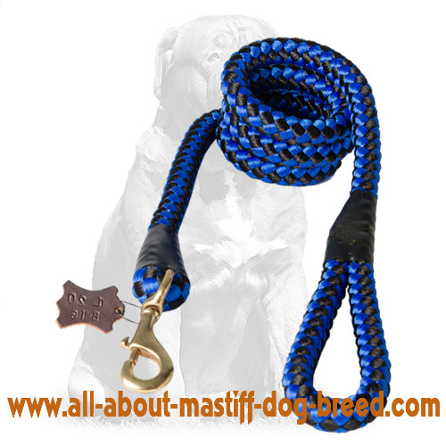 Cord nylon Mastiff leash for training