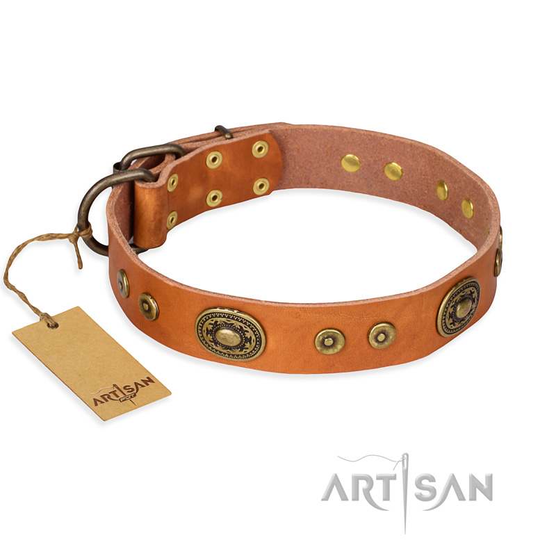 'Dandy Pet' FDT Artisan Handcrafted Mastiff Tan Leather Dog Collar