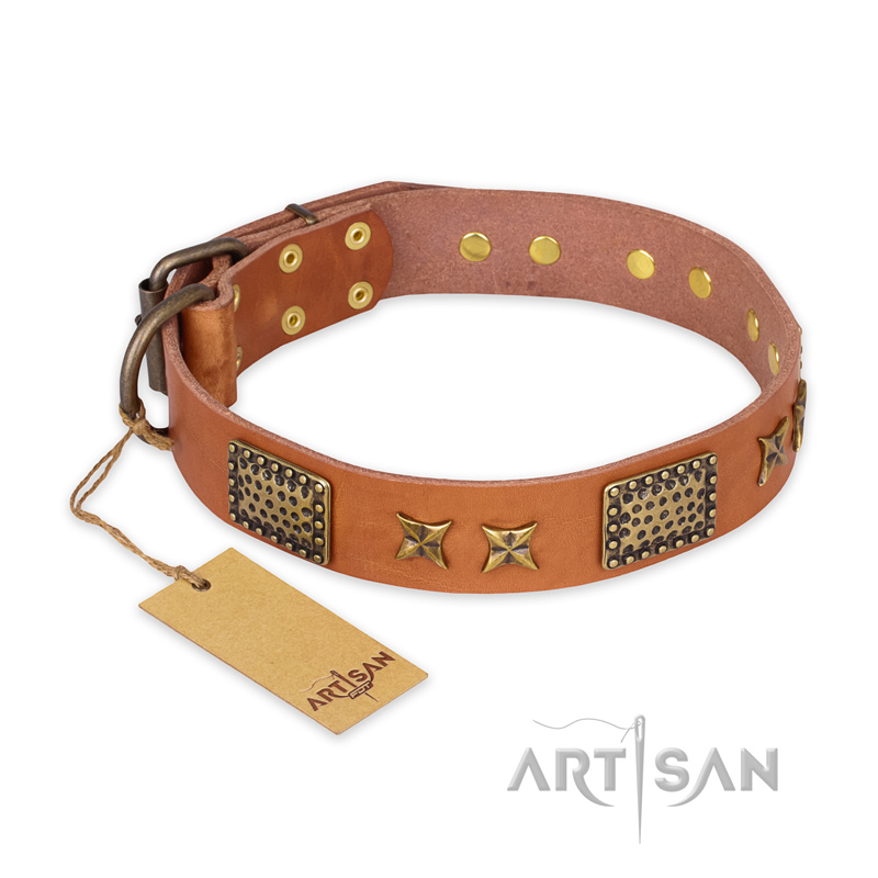 'Cosmic Traveller' FDT Artisan Adorned Leather Mastiff Collar with Old Bronze-Plated Stars and Plates