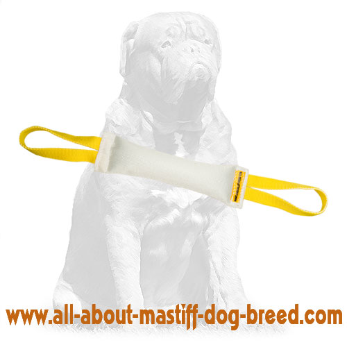 Mastiff Fire Hose Dog Bite Tug With Handles