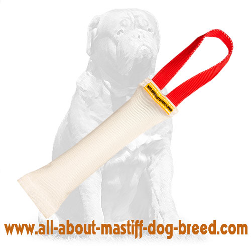 Mastiff Fire Hose Dog Bite Tug With Handle for Dog Training