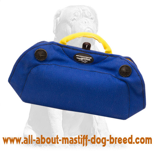 Design French Linen Bide Builder for Mastiff Puppies and Young Dogs