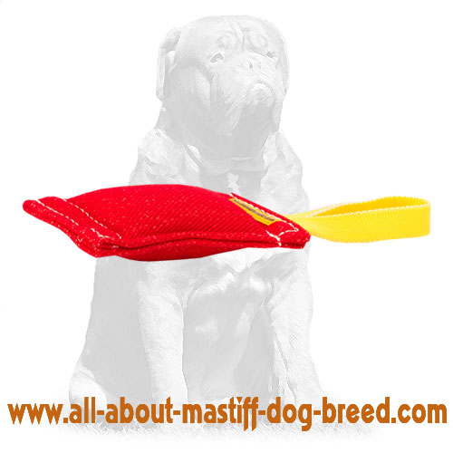 Great Synthetic French Linen Bite Tug 8 inch x2-1/3 inch with Handle - Click Image to Close