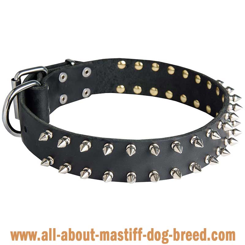 Spiked Leather German Mastiff Collar | Rustproof Fittings