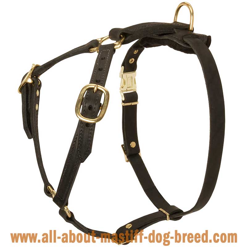 German Mastiff Tracking Leather Dog Harness Super Lightweight