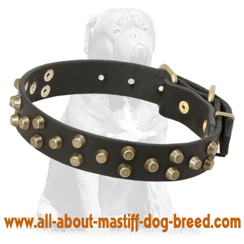 Mastiff Fancy Designer Leather Collar with Studs