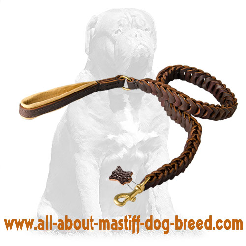 Mastiff Deluxe Braided Dog Leash
