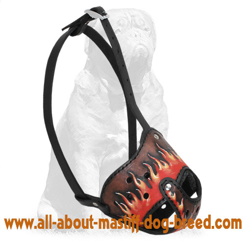 Mastiff Exclusive Designer Leather Muzzle with Flames