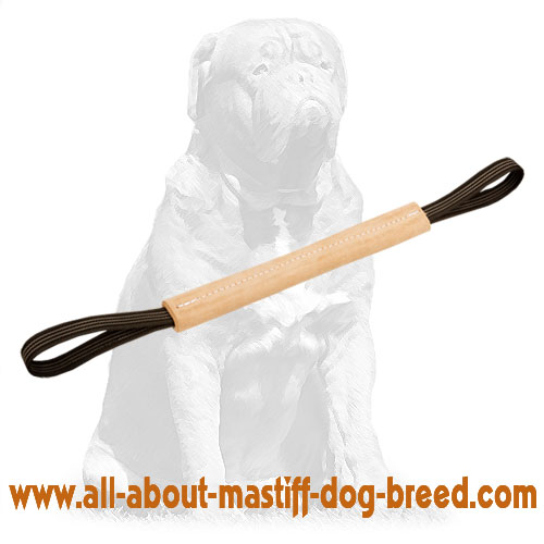 Mastiff Hard pocket toy made of leather with two handles