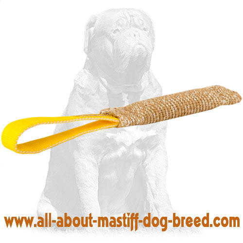 Mastiff Jute Bite Tug with Comfortable Loop