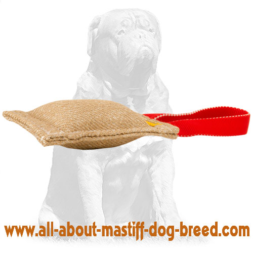 Mastiff Jute Puppy Bite Tug with One Handle