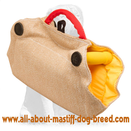 Excellent Dog Bite Builder for Puppies and Young Dogs