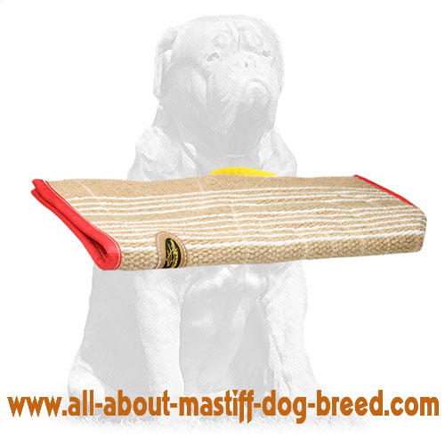 Safe and Durable Jute Cover for Bite Sleeves