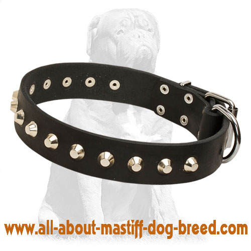 Mastiff Leather Dog Collar with Nickel Plated Pyramids