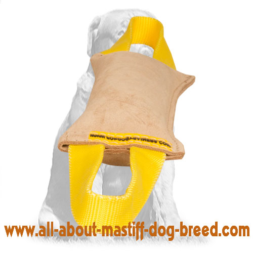 Ultra Leather Dog Tug Toy with 2 handles for Mastiff