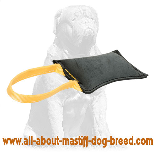 Mastiff Drive and Retrieve Building Leather Tug
