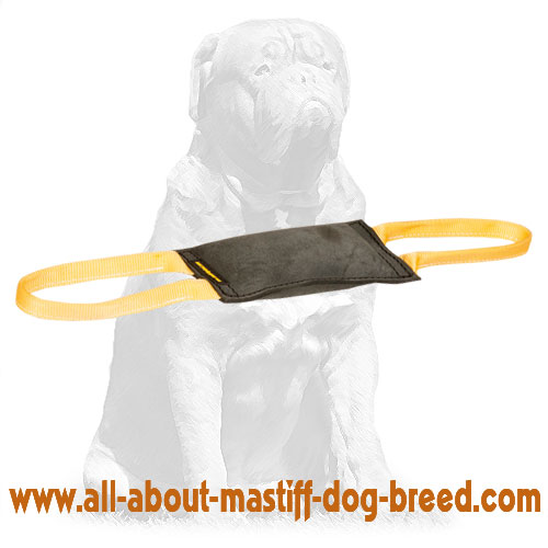 Mastiff Leather Bite Tug for Advanced Puppy / Young Dog Training
