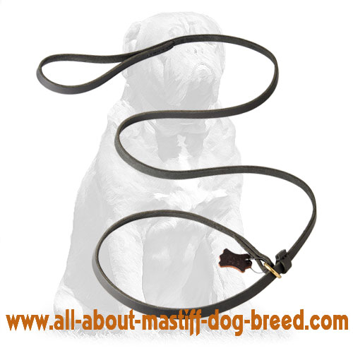 Leather Slip Lead 6 FT on 1/2'' for Mastiff
