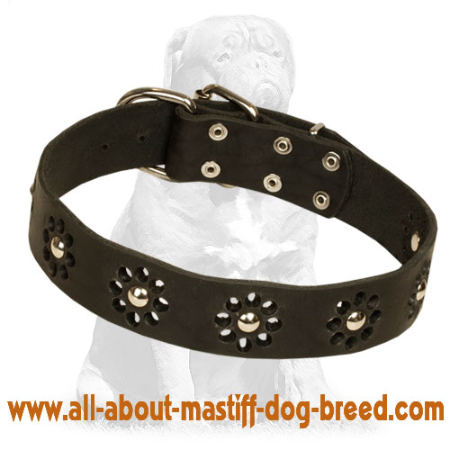 Mastiff Elegant Leather Dog Collar with Flowers