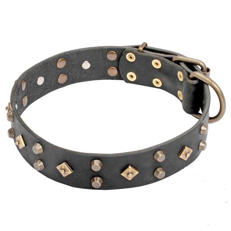 Mastiff Decorated Leather Dog Collar with Pyramids and Studs