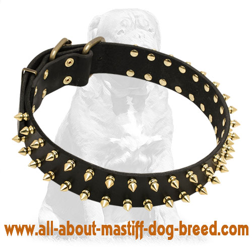 Mastiff Spiked Leather Dog Collar for Walking