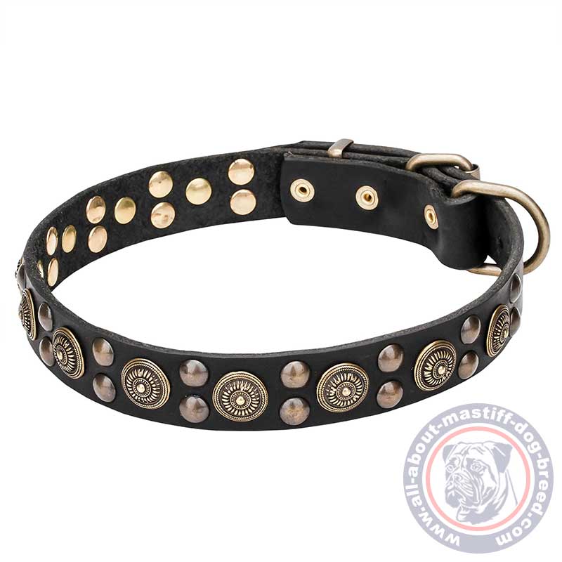 Mastiff Wide Leather Dog Collar with Massive Brass Decorations