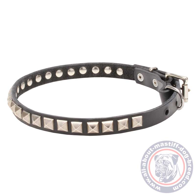 Mastiff Leather Dog Collar with Chrome Plated Square Studs