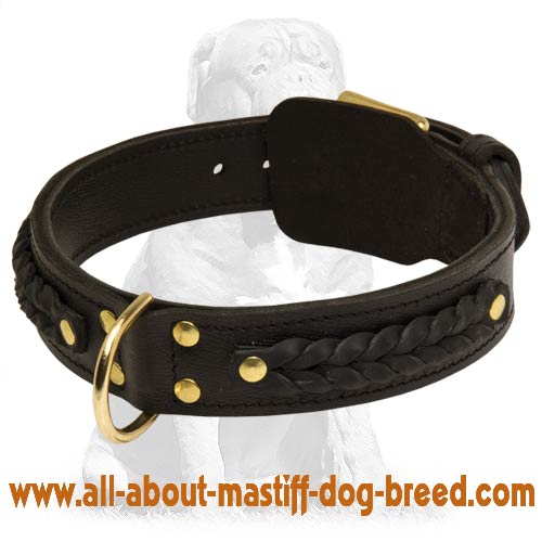Handcrafted Leather Dog Collar for Mastiffs