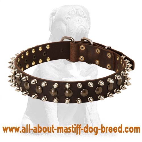 Comfortable Mastiff Leather Dog Collar with Spikes and Studs
