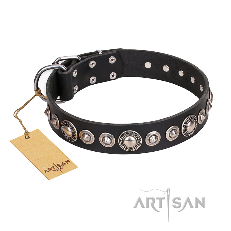 "Strict Elegance" FDT Artisan Black Leather Mastiff Collar with Silvery Studs
