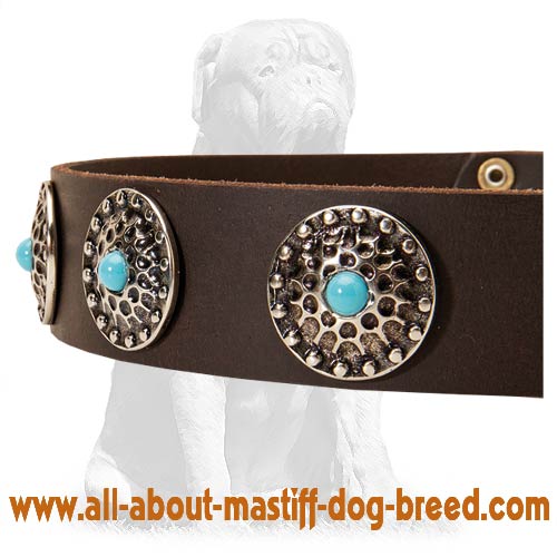 Tan Leather Dog Collar with Silver Plated Circles Blue Stones