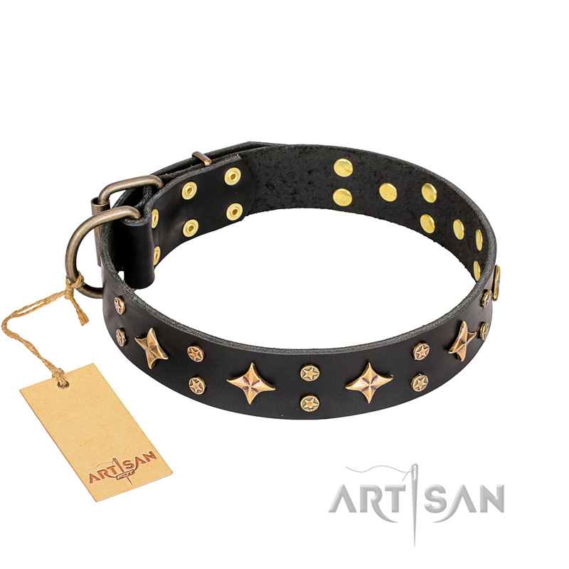 "A La Mode" FDT Artisan Exclusive Black Leather Mastiff Collar