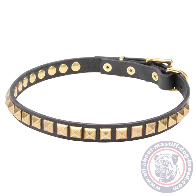 Mastiff Narrow Leather Dog Collar with Brass Studs