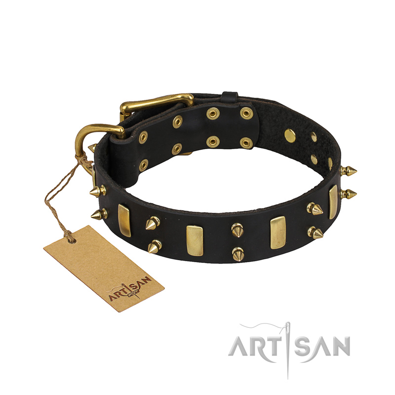 "Medieval Style" Leather Mastiff Collar with Brass Plates and Spikes