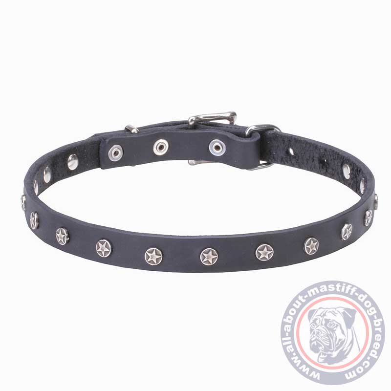 Mastiff Star Studded Leather Dog Collar