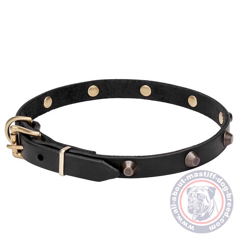 Mastiff Leather Dog Collar with 1 Row of Brass Plated Studs