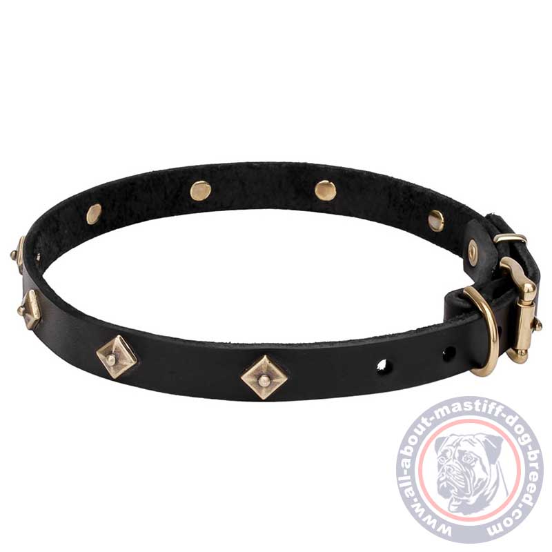 Mastiff Leather Dog Collar with Brass Plated Rhombs