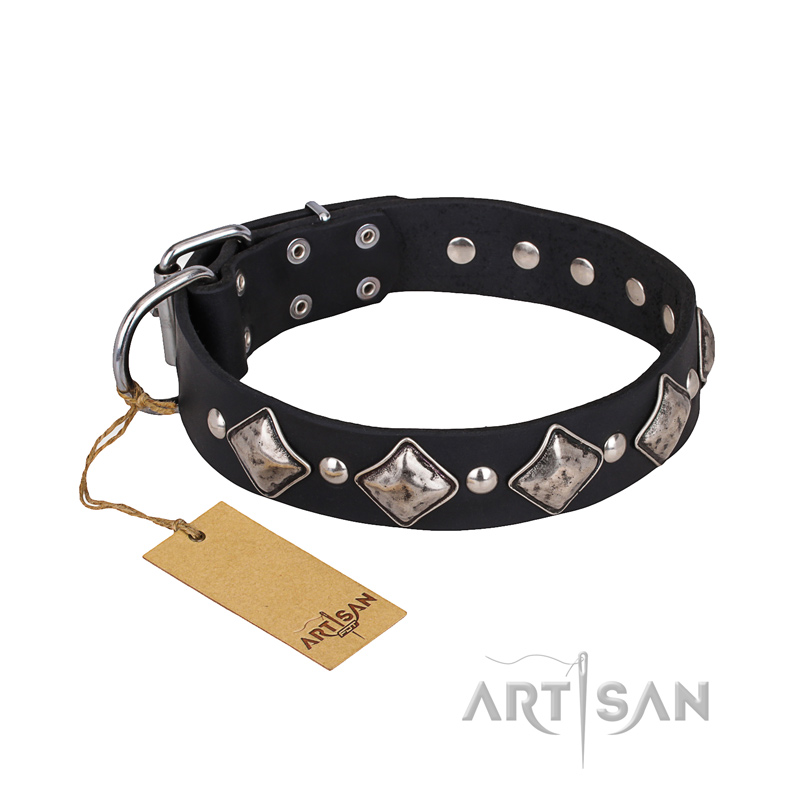 'Silver Charm' FDT Artisan Mastiff Leather Dog Collar with Plates and Studs