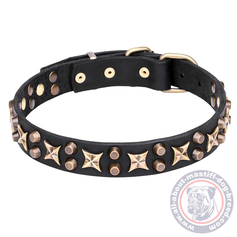 Mastiff Wide Leather Dog Collar 1 1/4 inch (30 mm) with Old Bronze Plated Stars and Pyramids