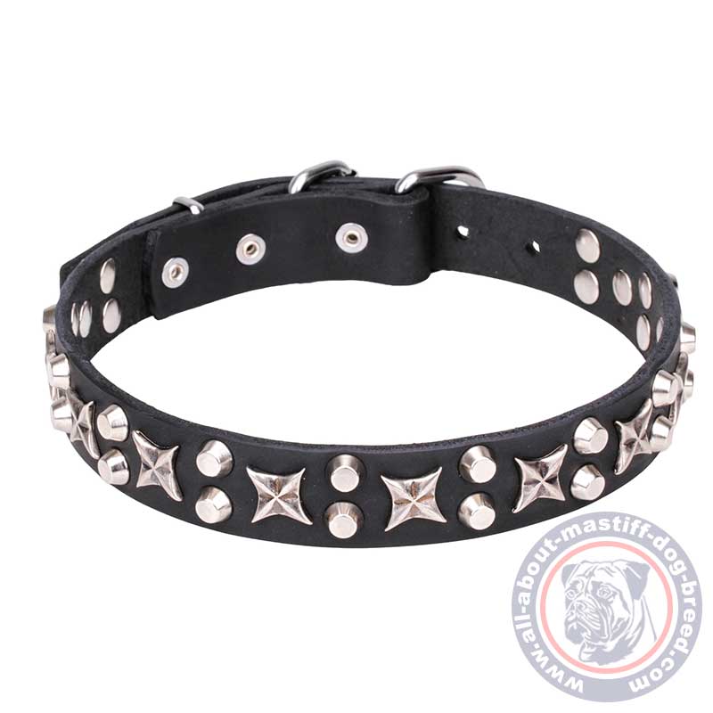 Mastiff Leather Dog Collar with Chrome Plated Hardware