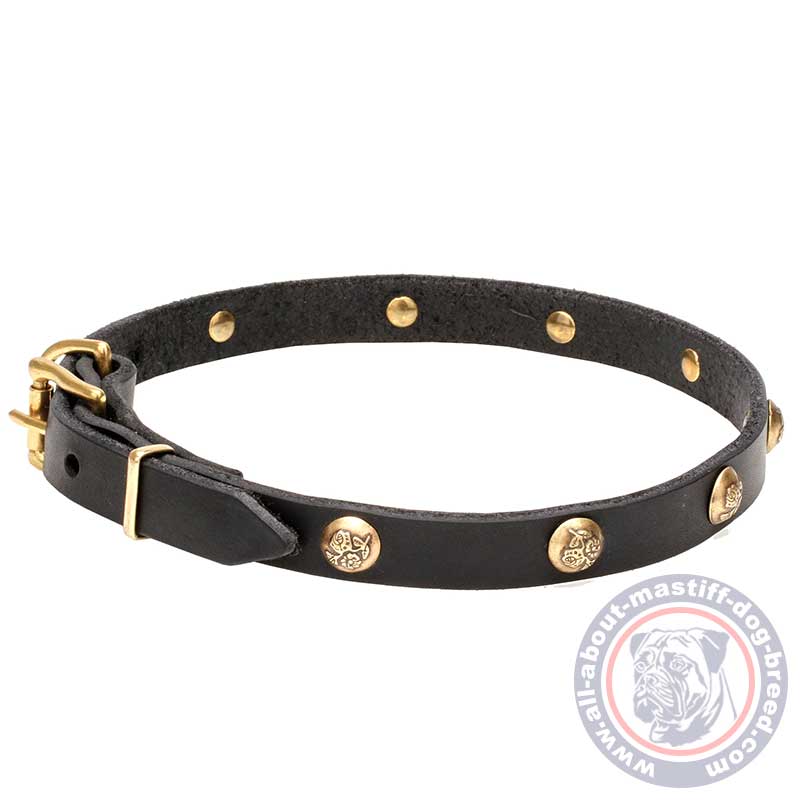 Mastiff Leather Dog Collar with Brass Round Studs with Engraving