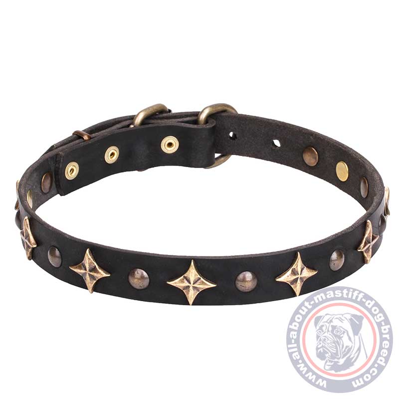 Mastiff Leather Dog Collar with Old Bronze-plated Half-ball Studs and Stars