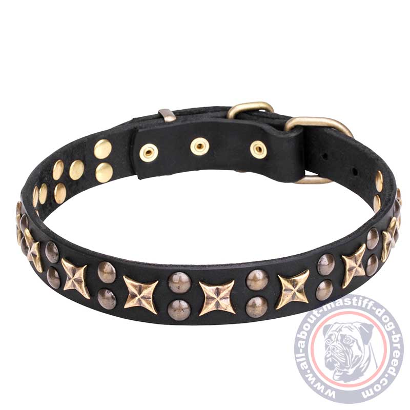 Mastiff Leather Dog Collar with Vintage Stars and Studs